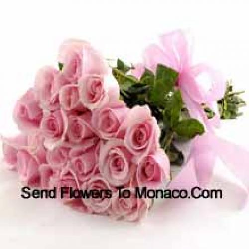 25 Carini Rose Rosa