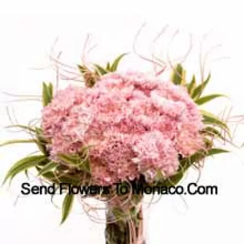 Bunch Of 25 Pink Carnations With Seasonal Fillers