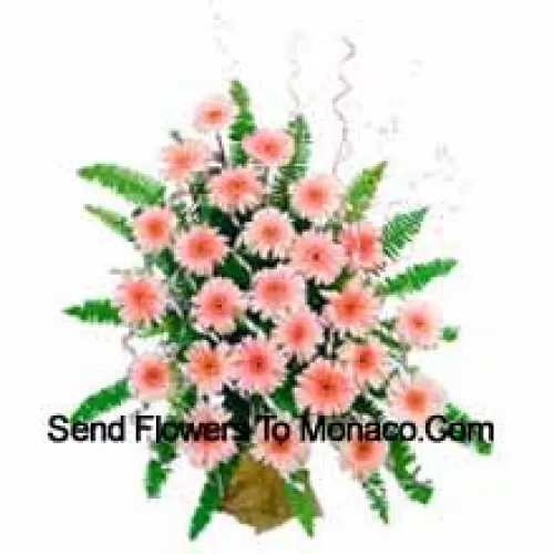 Basket Of 25 Pink Colored Gerberas