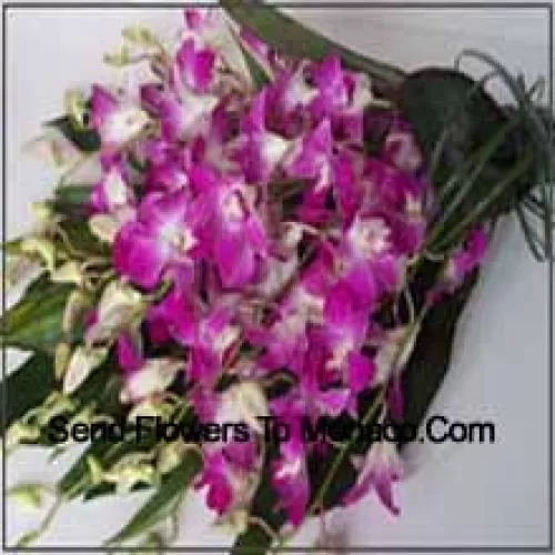 Bunch Of Orchids With Seasonal Fillers