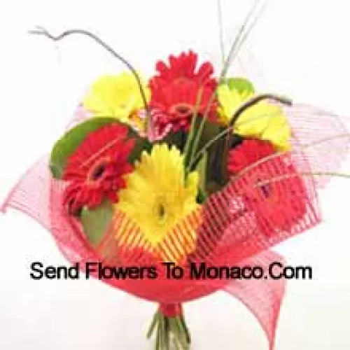 Buchet de 11 gerberas colorate mixte