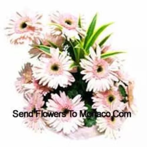 Basket Of 15 Pink Colored Gerberas