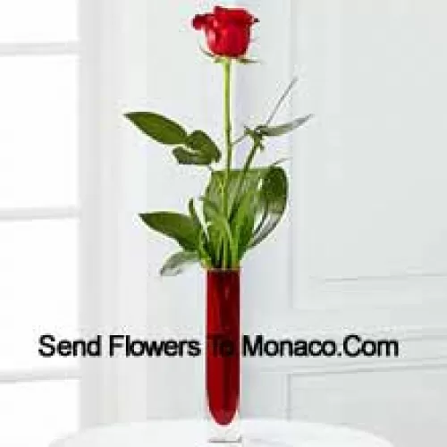 Une seule rose rouge dans un vase tube à essai rouge (Nous nous réservons le droit de substituer le vase en cas de non disponibilité. Stock limité)