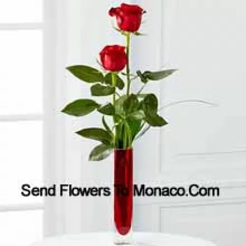 Deux roses rouges dans un vase en tube à essai rouge (Nous nous réservons le droit de substituer le vase en cas de non disponibilité. Stock limité)